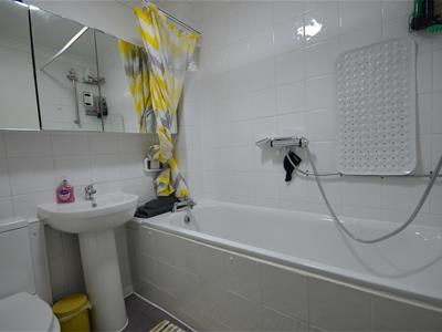 Picture 4